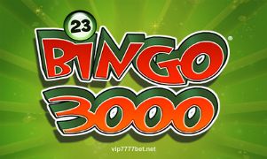 Bingo 3000 Game